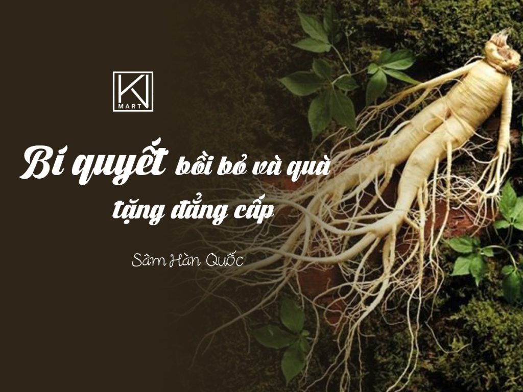 sâm hàn quốc